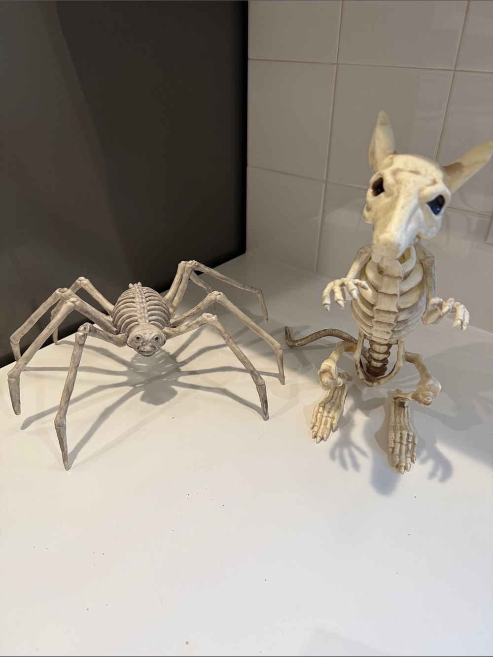 White Skeleton Reptile & Spider Habitat Décor Set